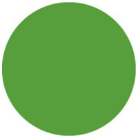 Showtec - Filtre de couleur - 139 - Primary Green