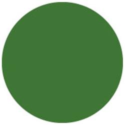 Showtec - Filtre de couleur - 124 - Dark Green