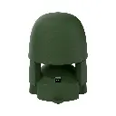park100.webp