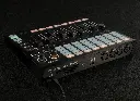 wolfmix-wing-back.webp