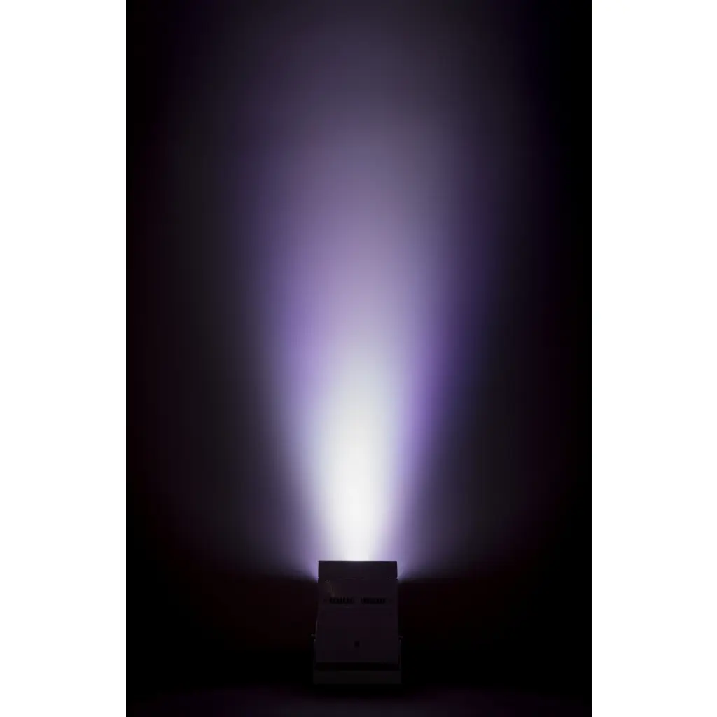 accu_color_color_wall_purple.webp