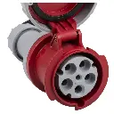 cee_close_up_3.webp