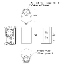 iline23_cotes_1.webp