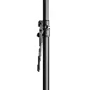 GLSVARIPOLE01B_3.webp