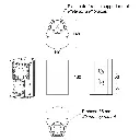iline23_cotes.webp
