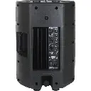 psa-12_back_6hr.webp