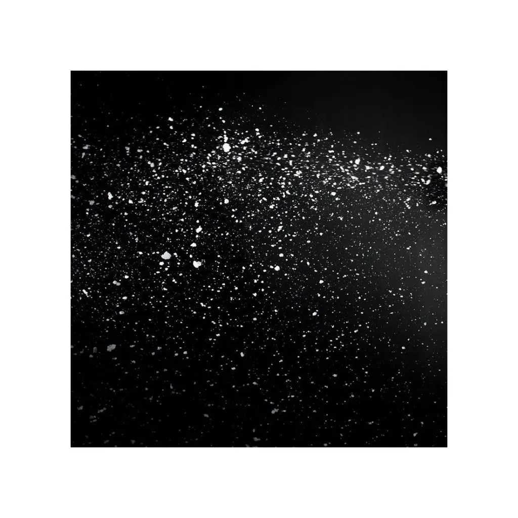 vf-snow-flurry-ho-ep-web-03-55444.webp