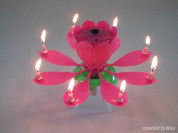 Bougie musicale - Fleur de Lotus