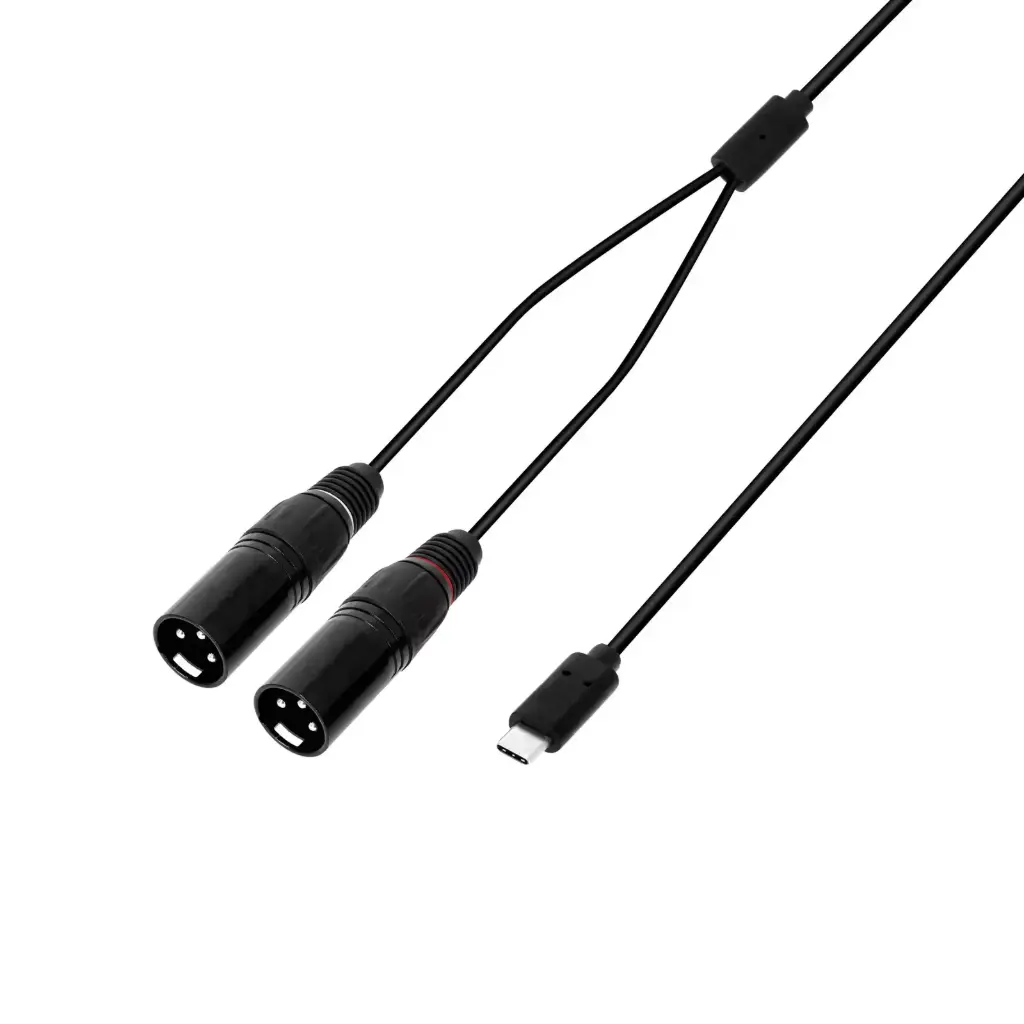 Adam Hall - Câble 2 x XLR mâle x USB-C - 1,5 m