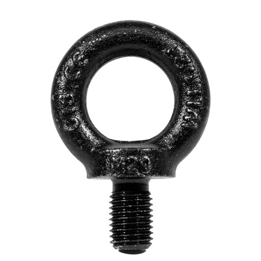 [1750000050] Duratruss - DT Eye Screw M20 Black
