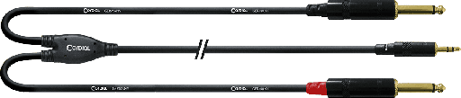 [ECL CFY6WPP] Cordial - CFY6WPP